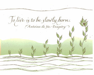 Card ・ Antoine de Ste.-Exupery (B15)