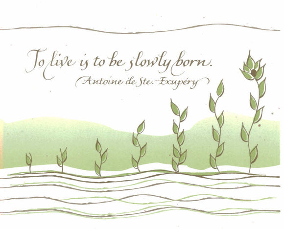 Card ・ Antoine de Ste.-Exupery (B15)
